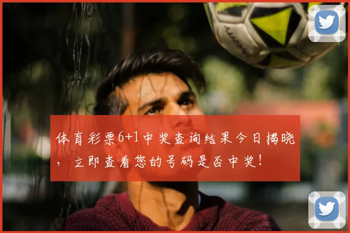 体育彩票6+1中奖查询结果今日揭晓,立即查看您的号码是否中奖!